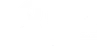 Brawijaya Core